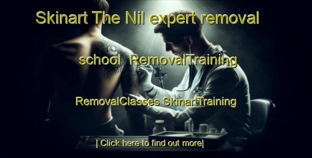 Skinart The Nil expert removal school | #RemovalTraining #RemovalClasses #SkinartTraining-Russia