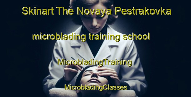 Skinart The Novaya Pestrakovka microblading training school | #MicrobladingTraining #MicrobladingClasses #SkinartTraining-Russia