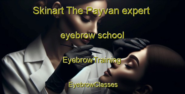 Skinart The Payvan expert eyebrow school | EyebrowTraining | EyebrowClasses | SkinartTraining-Russia