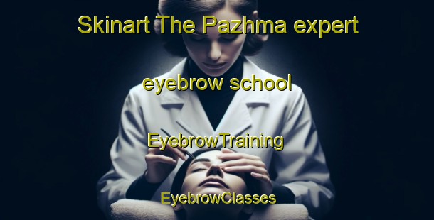 Skinart The Pazhma expert eyebrow school | EyebrowTraining | EyebrowClasses | SkinartTraining-Russia