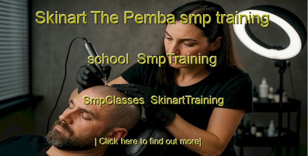 Skinart The Pemba smp training school | SmpTraining | SmpClasses | SkinartTraining-Russia