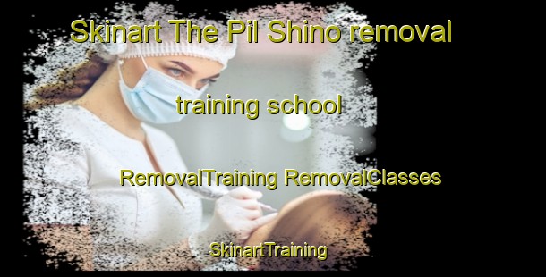 Skinart The Pil Shino removal training school | #RemovalTraining #RemovalClasses #SkinartTraining-Russia