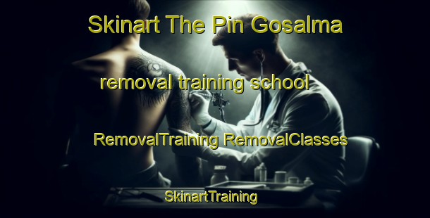 Skinart The Pin Gosalma removal training school | #RemovalTraining #RemovalClasses #SkinartTraining-Russia