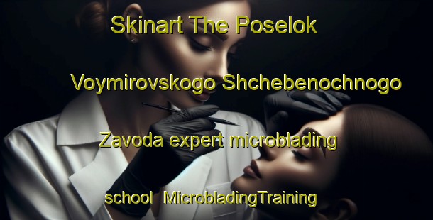 Skinart The Poselok Voymirovskogo Shchebenochnogo Zavoda expert microblading school | #MicrobladingTraining #MicrobladingClasses #SkinartTraining-Russia