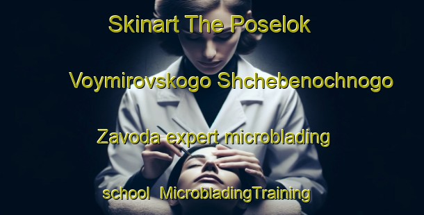 Skinart The Poselok Voymirovskogo Shchebenochnogo Zavoda expert microblading school | #MicrobladingTraining #MicrobladingClasses #SkinartTraining-Russia