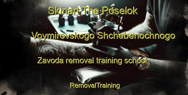 Skinart The Poselok Voymirovskogo Shchebenochnogo Zavoda removal training school | #RemovalTraining #RemovalClasses #SkinartTraining-Russia