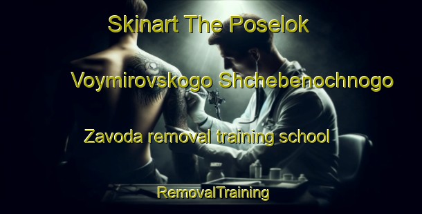 Skinart The Poselok Voymirovskogo Shchebenochnogo Zavoda removal training school | #RemovalTraining #RemovalClasses #SkinartTraining-Russia