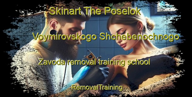 Skinart The Poselok Voymirovskogo Shchebenochnogo Zavoda removal training school | #RemovalTraining #RemovalClasses #SkinartTraining-Russia