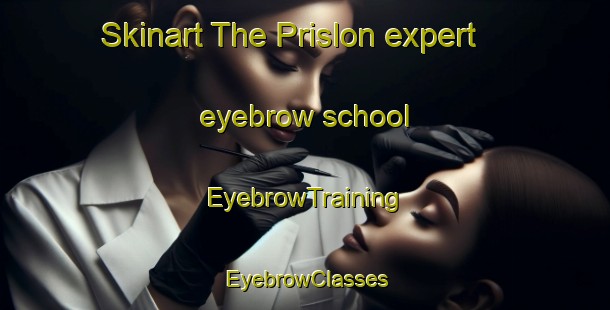 Skinart The Prislon expert eyebrow school | EyebrowTraining | EyebrowClasses | SkinartTraining-Russia