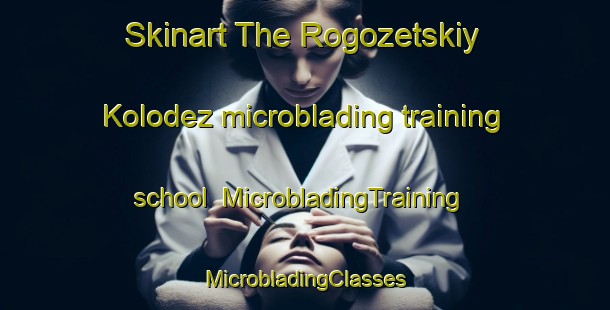 Skinart The Rogozetskiy Kolodez microblading training school | #MicrobladingTraining #MicrobladingClasses #SkinartTraining-Russia