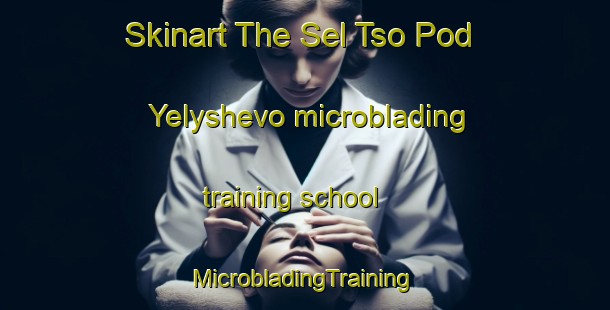 Skinart The Sel Tso Pod Yelyshevo microblading training school | #MicrobladingTraining #MicrobladingClasses #SkinartTraining-Russia