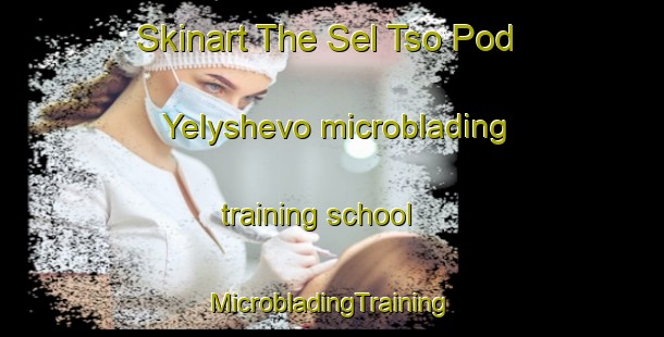 Skinart The Sel Tso Pod Yelyshevo microblading training school | #MicrobladingTraining #MicrobladingClasses #SkinartTraining-Russia