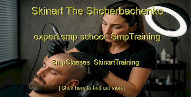 Skinart The Shcherbachenko expert smp school | SmpTraining | SmpClasses | SkinartTraining-Russia