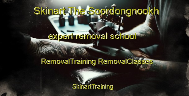 Skinart The Soordongnookh expert removal school | #RemovalTraining #RemovalClasses #SkinartTraining-Russia