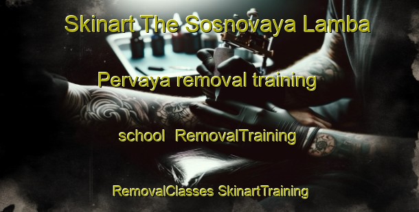 Skinart The Sosnovaya Lamba Pervaya removal training school | #RemovalTraining #RemovalClasses #SkinartTraining-Russia