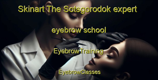 Skinart The Sotsgorodok expert eyebrow school | EyebrowTraining | EyebrowClasses | SkinartTraining-Russia