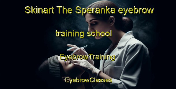 Skinart The Speranka eyebrow training school | EyebrowTraining | EyebrowClasses | SkinartTraining-Russia