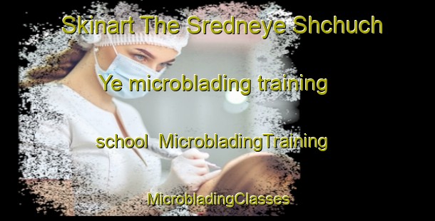 Skinart The Sredneye Shchuch Ye microblading training school | #MicrobladingTraining #MicrobladingClasses #SkinartTraining-Russia