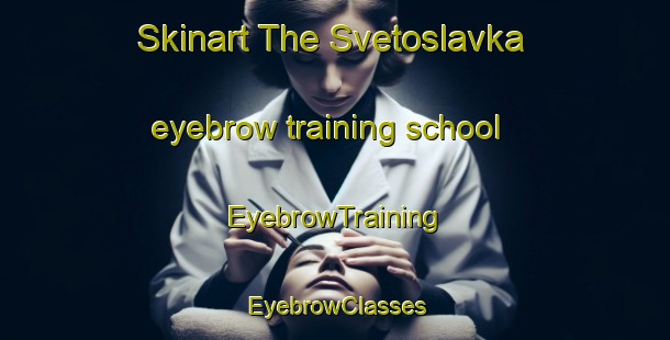 Skinart The Svetoslavka eyebrow training school | EyebrowTraining | EyebrowClasses | SkinartTraining-Russia