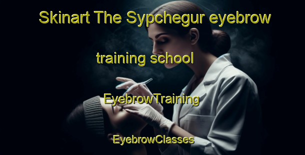 Skinart The Sypchegur eyebrow training school | EyebrowTraining | EyebrowClasses | SkinartTraining-Russia