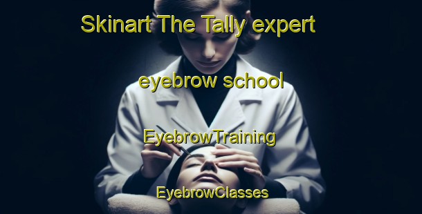 Skinart The Tally expert eyebrow school | EyebrowTraining | EyebrowClasses | SkinartTraining-Russia