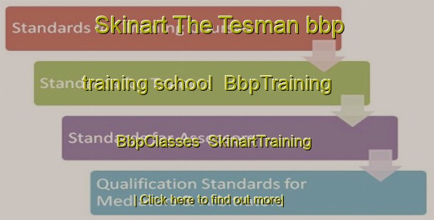 Skinart The Tesman bbp training school | BbpTraining | BbpClasses | SkinartTraining-Russia