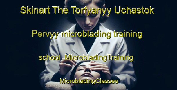 Skinart The Torfyanyy Uchastok Pervyy microblading training school | #MicrobladingTraining #MicrobladingClasses #SkinartTraining-Russia