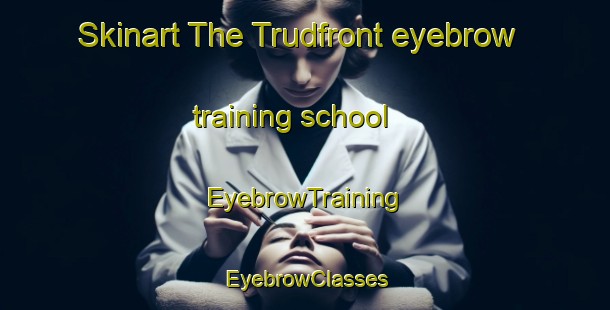 Skinart The Trudfront eyebrow training school | EyebrowTraining | EyebrowClasses | SkinartTraining-Russia