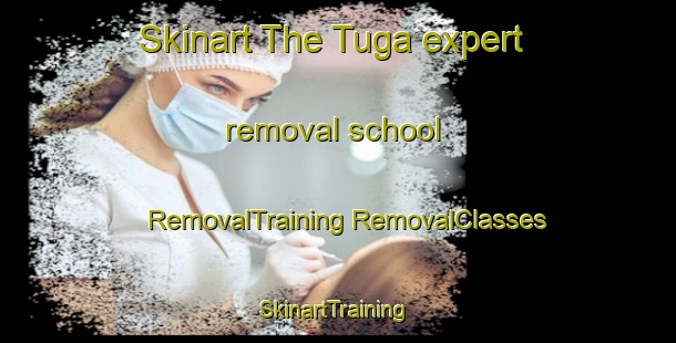 Skinart The Tuga expert removal school | #RemovalTraining #RemovalClasses #SkinartTraining-Russia