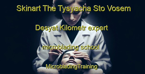 Skinart The Tysyacha Sto Vosem Desyat Kilometr expert microblading school | #MicrobladingTraining #MicrobladingClasses #SkinartTraining-Russia