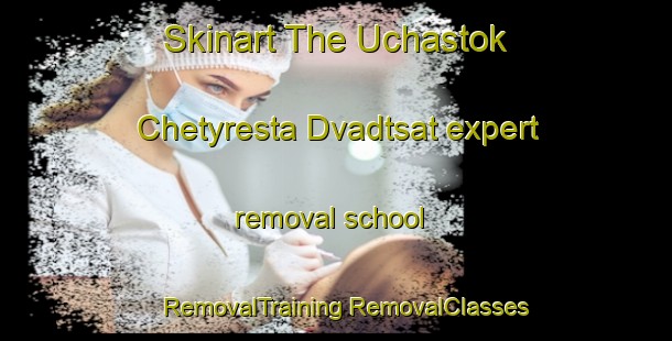 Skinart The Uchastok Chetyresta Dvadtsat expert removal school | #RemovalTraining #RemovalClasses #SkinartTraining-Russia