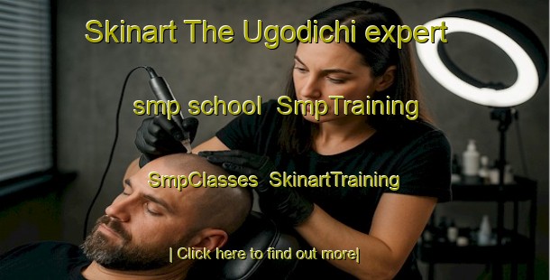 Skinart The Ugodichi expert smp school | SmpTraining | SmpClasses | SkinartTraining-Russia