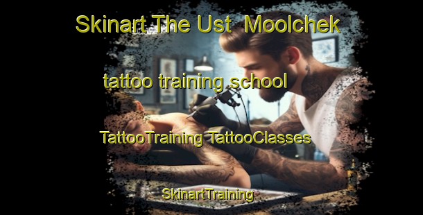 Skinart The Ust  Moolchek tattoo training school | #TattooTraining #TattooClasses #SkinartTraining-Russia