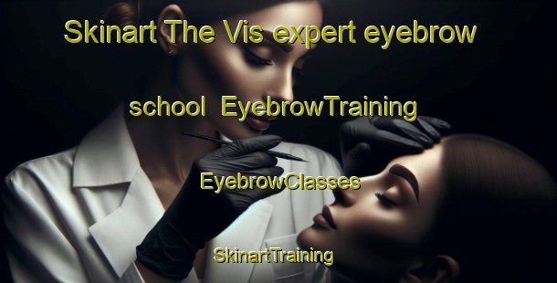 Skinart The Vis expert eyebrow school | EyebrowTraining | EyebrowClasses | SkinartTraining-Russia