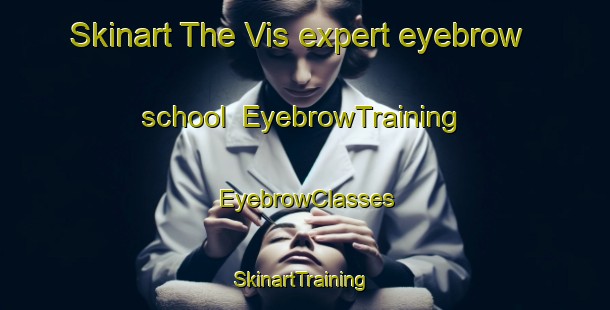 Skinart The Vis expert eyebrow school | EyebrowTraining | EyebrowClasses | SkinartTraining-Russia