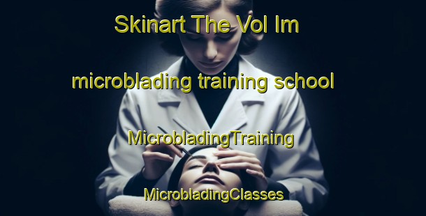 Skinart The Vol Im microblading training school | #MicrobladingTraining #MicrobladingClasses #SkinartTraining-Russia