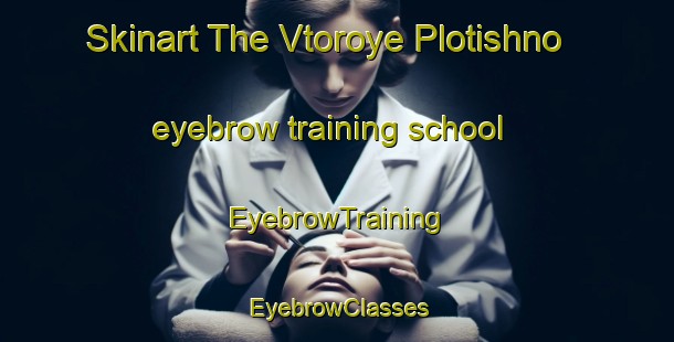 Skinart The Vtoroye Plotishno eyebrow training school | EyebrowTraining | EyebrowClasses | SkinartTraining-Russia