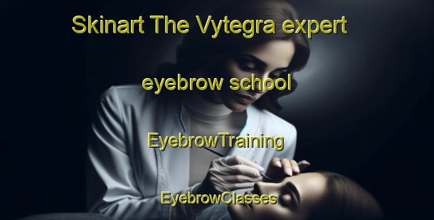 Skinart The Vytegra expert eyebrow school | EyebrowTraining | EyebrowClasses | SkinartTraining-Russia