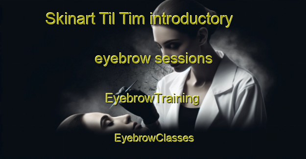 Skinart Til Tim introductory eyebrow sessions | EyebrowTraining | EyebrowClasses | SkinartTraining-Russia