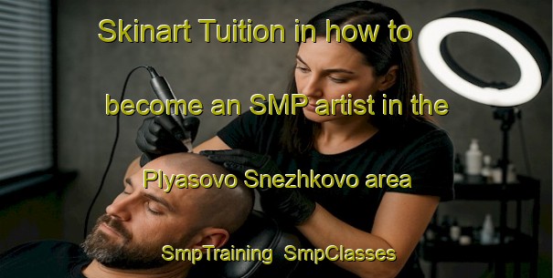 Skinart Tuition in how to become an SMP artist in the Plyasovo Snezhkovo area | SmpTraining | SmpClasses | SkinartTraining-Russia