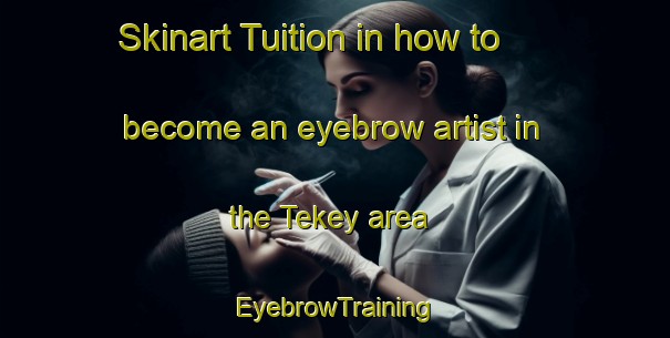 Skinart Tuition in how to become an eyebrow artist in the Tekey area | EyebrowTraining | EyebrowClasses | SkinartTraining-Russia