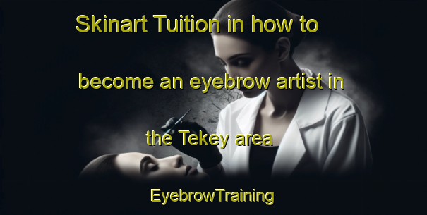 Skinart Tuition in how to become an eyebrow artist in the Tekey area | EyebrowTraining | EyebrowClasses | SkinartTraining-Russia