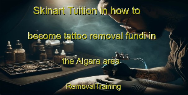 Skinart Tuition in how to become tattoo removal fundi in the Algara area | RemovalTraining | RemovalClasses | SkinartTraining-Russia