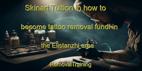 Skinart Tuition in how to become tattoo removal fundi in the Elistanzhi area | RemovalTraining | RemovalClasses | SkinartTraining-Russia