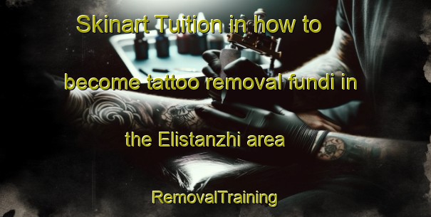 Skinart Tuition in how to become tattoo removal fundi in the Elistanzhi area | RemovalTraining | RemovalClasses | SkinartTraining-Russia