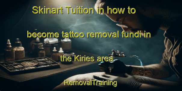 Skinart Tuition in how to become tattoo removal fundi in the Kiries area | RemovalTraining | RemovalClasses | SkinartTraining-Russia