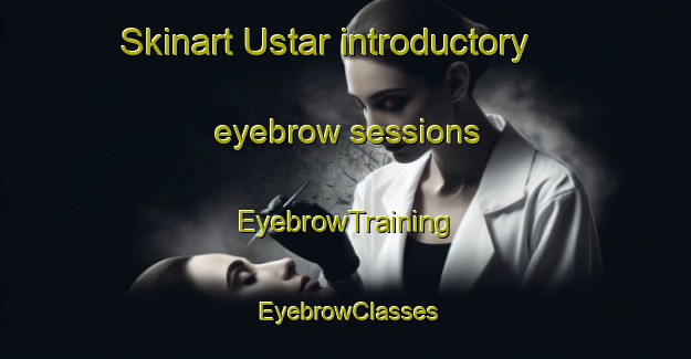 Skinart Ustar introductory eyebrow sessions | EyebrowTraining | EyebrowClasses | SkinartTraining-Russia