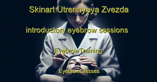 Skinart Utrennyaya Zvezda introductory eyebrow sessions | EyebrowTraining | EyebrowClasses | SkinartTraining-Russia