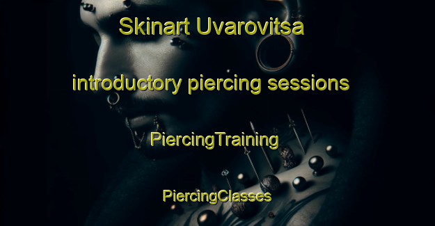 Skinart Uvarovitsa introductory piercing sessions | #PiercingTraining #PiercingClasses #SkinartTraining-Russia