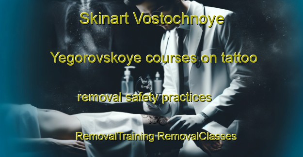 Skinart Vostochnoye Yegorovskoye courses on tattoo removal safety practices | #RemovalTraining #RemovalClasses #SkinartTraining-Russia